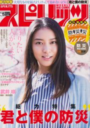 [Weekly Big Comic Spirits] 武井咲 2017年No.15 写真杂志